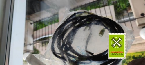 IMG_20230831_193641
